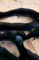 Of Rocks And Dreams